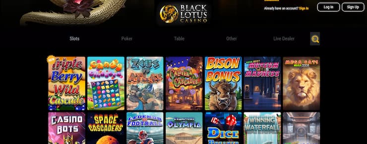 Black Lotus live casino